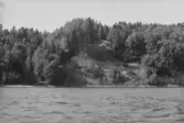 Inspektionstur nedanför Sollefteå kraftverk. Översikt över Ångermanälven.