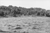 Inspektionstur nedanför Sollefteå kraftverk. Översikt över Ångermanälven.