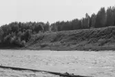 Inspektionstur nedanför Sollefteå kraftverk. Gammalt avlägg.