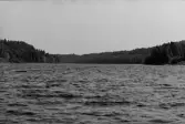 Inspektionstur nedanför Sollefteå kraftverk. Vingbommar.