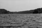 Inspektionstur nedanför Sollefteå kraftverk. Vingbommar.