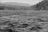 Inspektionstur nedanför Sollefteå kraftverk. Vingbommar.