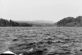 Inspektionstur nedanför Sollefteå kraftverk. Vingbommar.