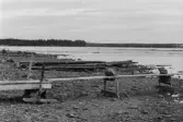 Stranden söder om Bäckmyrviken. Orensad strand.