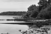 Bäckmyrviken. Landrensning.