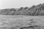 Inspektionstur nedanför Sollefteå kraftverk. Översikt vingbommar.
