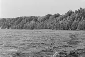 Inspektionstur nedanför Sollefteå kraftverk. Översikt vingbommar.