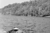 Inspektionstur nedanför Sollefteå kraftverk. Omlottkopplade bommar. Roddbåten på släp i förgrunden.