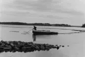 Landrensning söder om Bäckmyrviken. Göran Roos motar in virket i länsen.