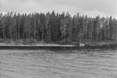 Vid Digerön.