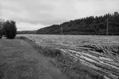 Dammen ovanför Sollefteå kraftverk. Cirka 300 000 bit i väntan på första tappningen.