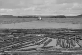 Uppströms Strömsundsbron. Ihopkoppling av två tappar.  Bogserbåten Hillsand drar ut främre delen av tappen.
