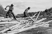 Ulriksfors. Brötlossning i forsen direkt nedanför dammen. Ulf Nilsson och Harry Eneröd lossar bröten.