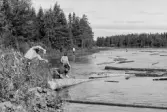 Kilströmmens nedre del. Henrik Boman och Göran Roos landrensar. Längst bak i bilden landrensar Lilian Eriksson och Reidar Ragnarsson.