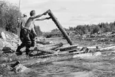 Nedströms Ulriksforsdammen. Harry Eneröd och Hugo Carlsson har snart lossat färdigt bröten.
