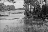 Fångsjön. Radiobåten drar ner gamla timmerupplag från stranden. Rikard Johansson kör.