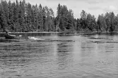 Fångsjön. Radiobåten drar ut timmer från land. Rikard Johansson kör.