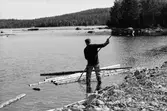 Fångsjön. Reidar Ragnarsson landrensar. Han håller ihop timret med en överliggande tvärgående stock.