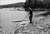 Fångsjön. Reidar Ragnarsson landrensar. Han håller ihop timret med en överliggande tvärgående stock.