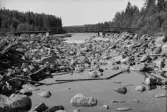 Gamla Lövöns damm före tappning.