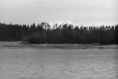Rumpan vid Sporrsjödammen. 