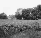 Avesta stad. Skälsbo. 2 flyglar bakom manbyggnad.

