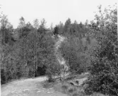 Bjursås, Falun. Baggbo skuru.

