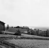 Bjursås, Falun. Baggarvet. Posselius Rog.

