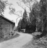 Bjursås, Falun. Västanberg. Gammal pil.

