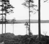 Bjursås, Falun. Sjön Bjursen och Björsberget.


