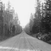 Bjursås, Falun. Väg vid Sörskog.

