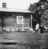 Bjursås, Falun. Älgberget, stuga med jättelönn.

