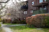 Mälarstaden, Ekerö, Ralph Erskine 