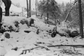 Damm och kvarn/sågfundament vid Björkån. (Besiktning av bygge av erosionsskydd).