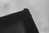Fiskalen 6. Detalj takfot.