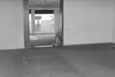 Vågmannen, ateljén. Interiör.