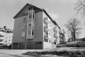 Assessorn 7. Byggnad II. Översikt från väst.