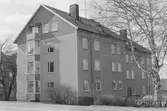 Assessorn 7. Byggnad III. Översikt från öst.