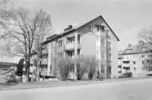 Assessorn 7. Byggnad I. Översikt från syd.