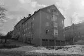 Assessorn 7. Byggnad I. Översikt från norr.