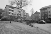 Roddaren 9. Översikt från norr.