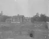 Foto av Gröndal, med fåren (enligt text vid bild).