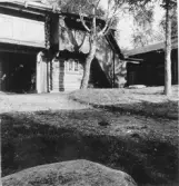 Leksand, Tällberg. Holen. Härbrestuga vid vår herres gattu. [Gata] Källarstuga och  portlider.

