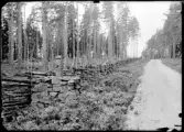 Vägsträcka