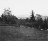 Leksand. Åsleden. Noret, gran och yxberget i bakgrunden.

