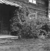 Leksand. Västannor. Stuga.

