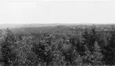 Leksand. Plintsberg. Bergsängsbackar  från Plintsberg.

