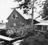 Leksand. Rältlindor. Liasmedjan.

