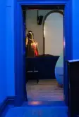 Vänersborgs museum. Sommarutställningen Aqua Blå