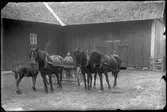 Nils Gustavsson vid såmaskinen